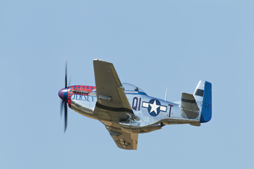 C35B5310-squashed-095823-150825.jpg