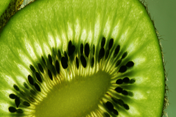 Kiwi2-1-155942-170420.jpg