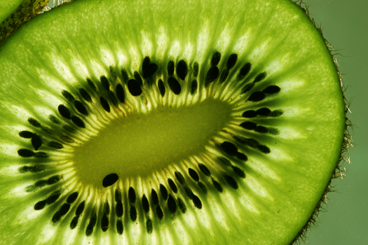 Kiwi2-1-155942-170420.jpg