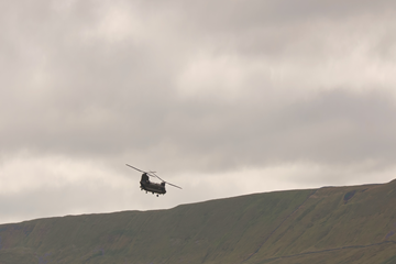 Chinook-squashed-090203-280625.jpg